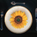 FFC Ketsch Hansdieter Gehres 03